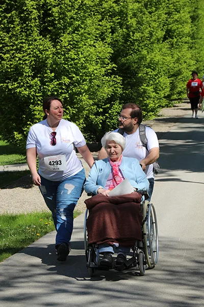 Öhringer Stadtlauf Alle(s) inklusive Lauf 2026