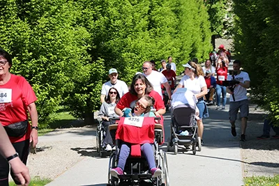 Öhringer Stadtlauf Alle(s) inklusive Lauf 2026