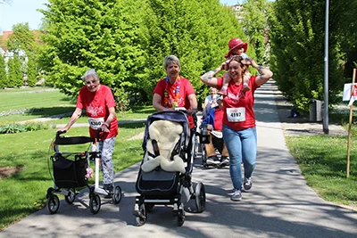 Öhringer Stadtlauf Alle(s) inklusive Lauf 2026