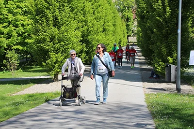 Öhringer Stadtlauf Alle(s) inklusive Lauf 2026