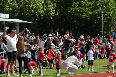 Öhringer Stadtlauf Alle(s) inklusive Lauf 2026