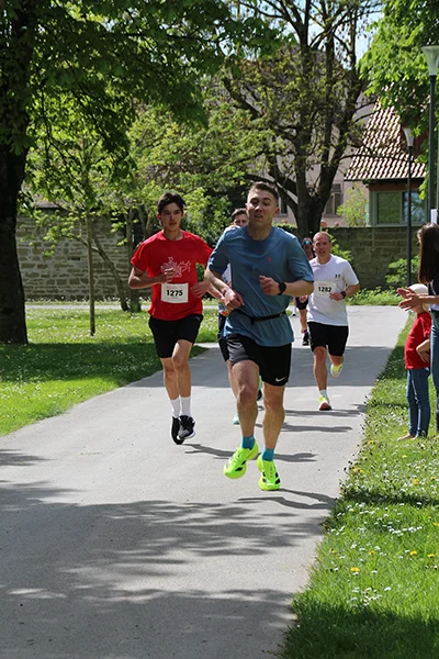 Öhringer Stadtlauf Freizeitlauf 2026