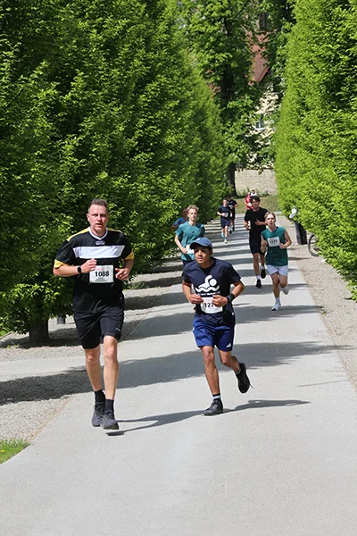 Öhringer Stadtlauf Freizeitlauf 2026
