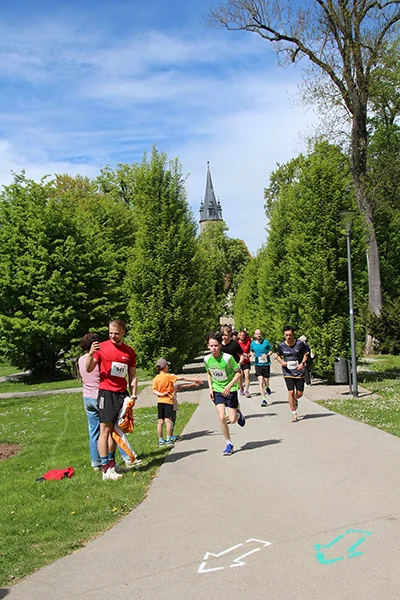 Öhringer Stadtlauf Freizeitlauf 2026