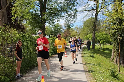 Öhringer Stadtlauf Freizeitlauf 2026