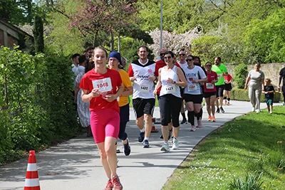 Öhringer Stadtlauf Freizeitlauf 2026