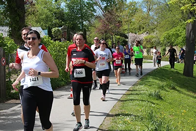 Öhringer Stadtlauf Freizeitlauf 2026