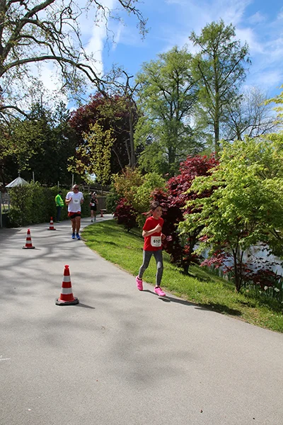 Öhringer Stadtlauf Freizeitlauf 2026