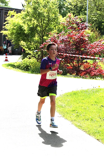 Öhringer Stadtlauf Freizeitlauf 2026
