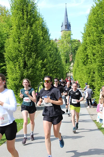 Öhringer Stadtlauf Hauptlauf 2026
