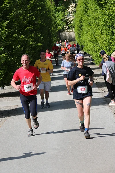 Öhringer Stadtlauf Hauptlauf 2026