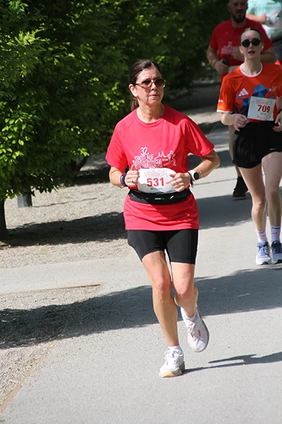 Öhringer Stadtlauf Hauptlauf 2026