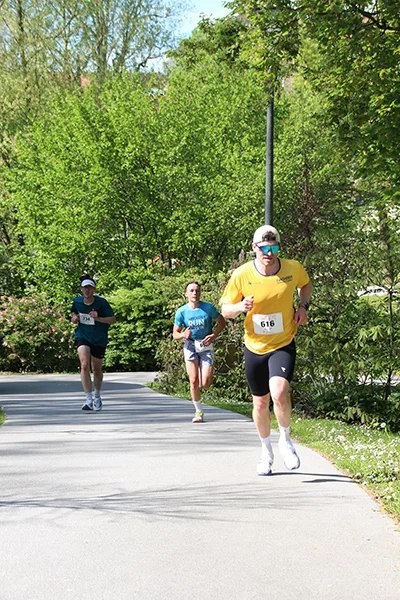 Öhringer Stadtlauf Hauptlauf 2026
