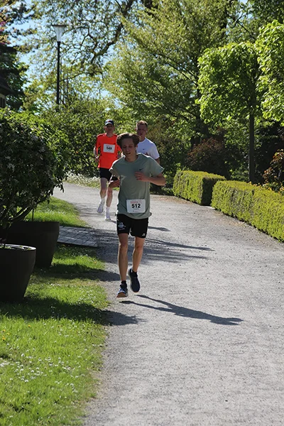Öhringer Stadtlauf Hauptlauf 2026