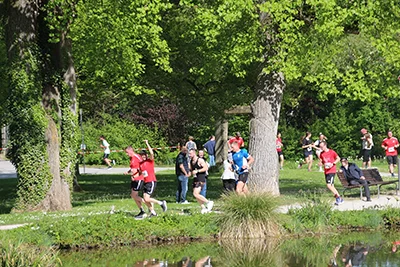 Öhringer Stadtlauf Hauptlauf 2026