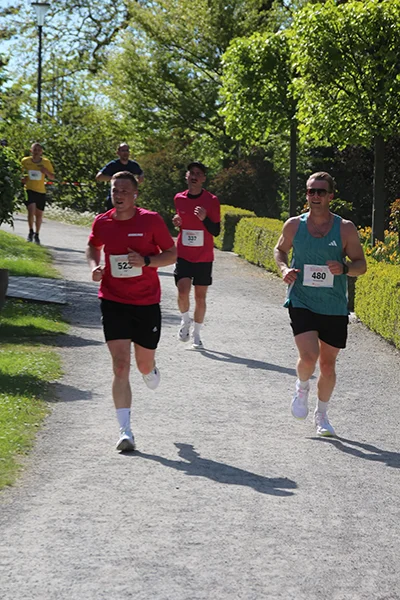 Öhringer Stadtlauf Hauptlauf 2026