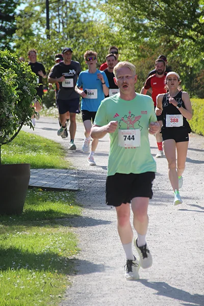 Öhringer Stadtlauf Hauptlauf 2026