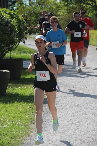 Öhringer Stadtlauf Hauptlauf 2026