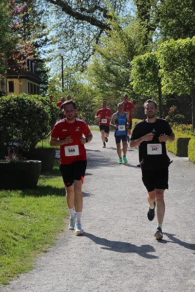 Öhringer Stadtlauf Hauptlauf 2026