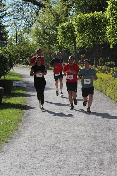 Öhringer Stadtlauf Hauptlauf 2026