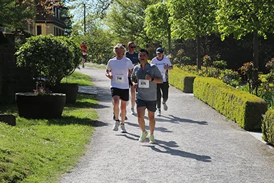 Öhringer Stadtlauf Hauptlauf 2026