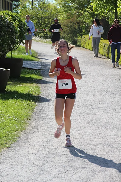 Öhringer Stadtlauf Hauptlauf 2026