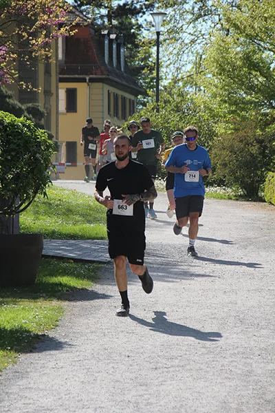 Öhringer Stadtlauf Hauptlauf 2026