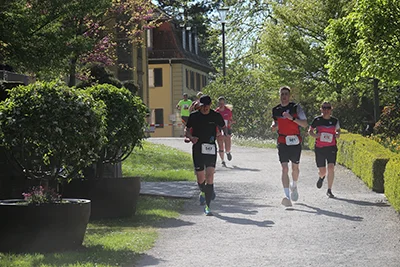 Öhringer Stadtlauf Hauptlauf 2026