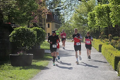 Öhringer Stadtlauf Hauptlauf 2026