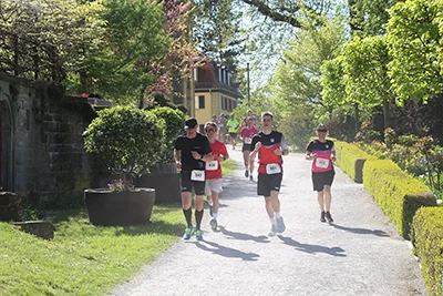 Öhringer Stadtlauf Hauptlauf 2026