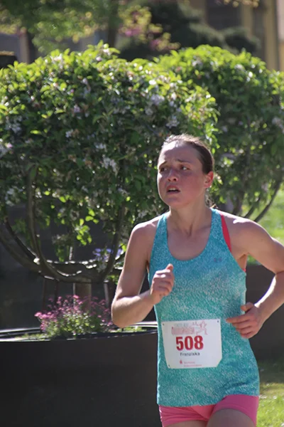 Öhringer Stadtlauf Hauptlauf 2026