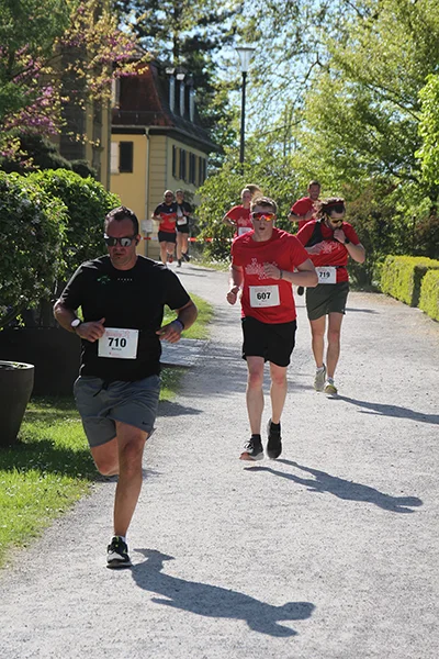 Öhringer Stadtlauf Hauptlauf 2026