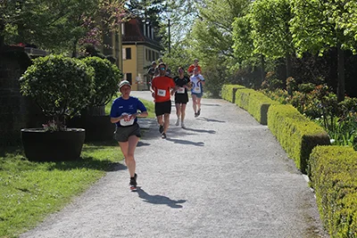 Öhringer Stadtlauf Hauptlauf 2026