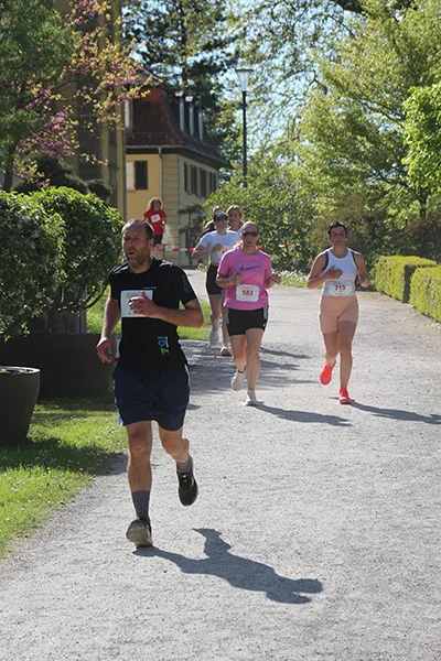 Öhringer Stadtlauf Hauptlauf 2026