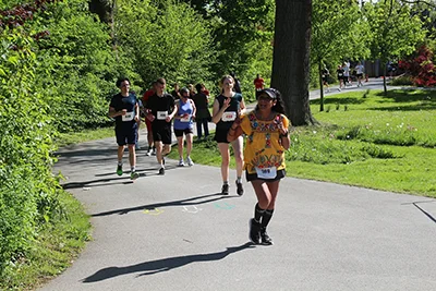 Öhringer Stadtlauf Hauptlauf 2026