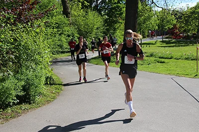 Öhringer Stadtlauf Hauptlauf 2026